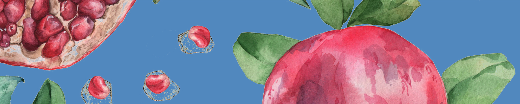 banner_pomegranate-and-clove