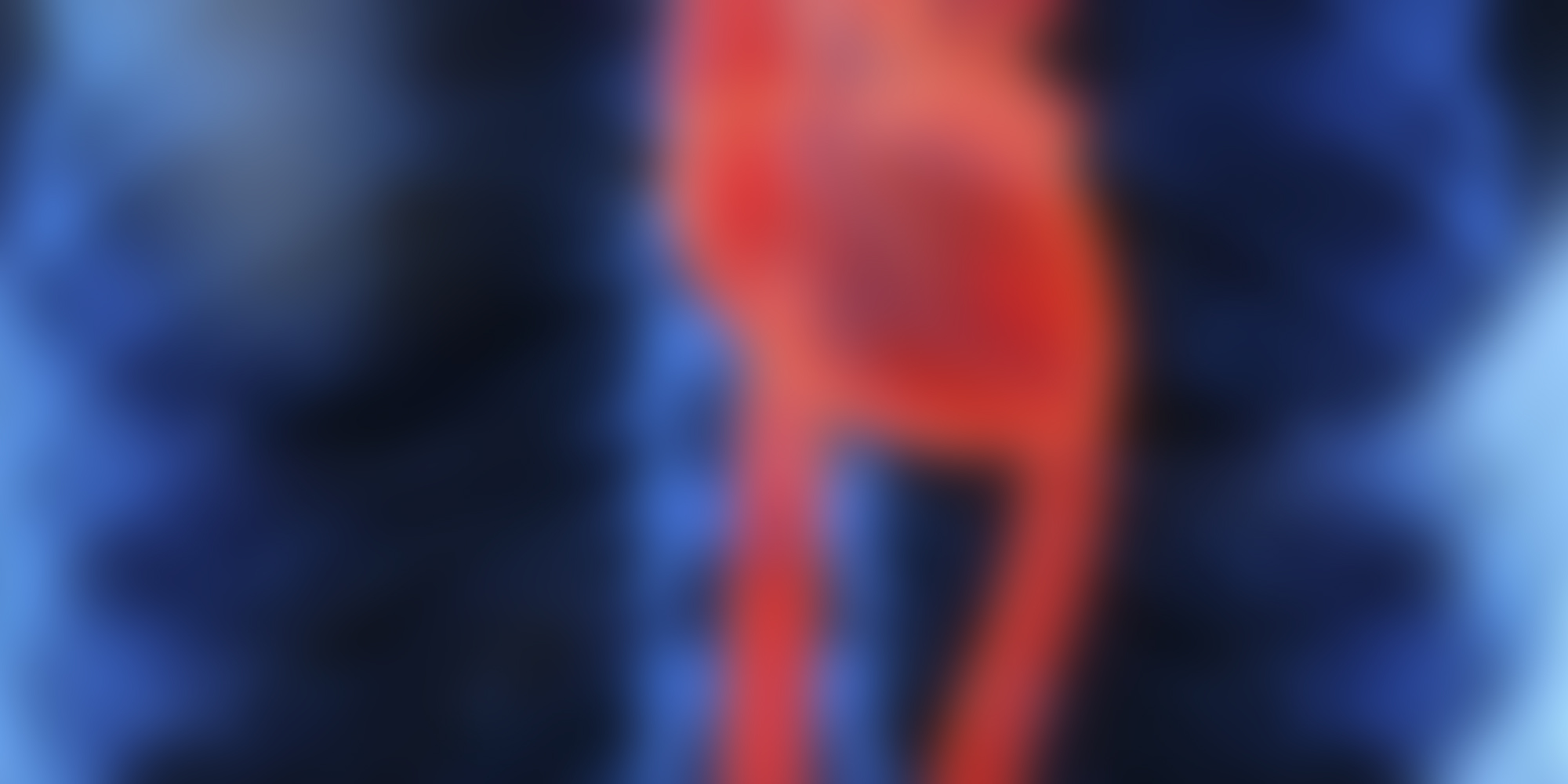 Cardiology RACP Advanced Training