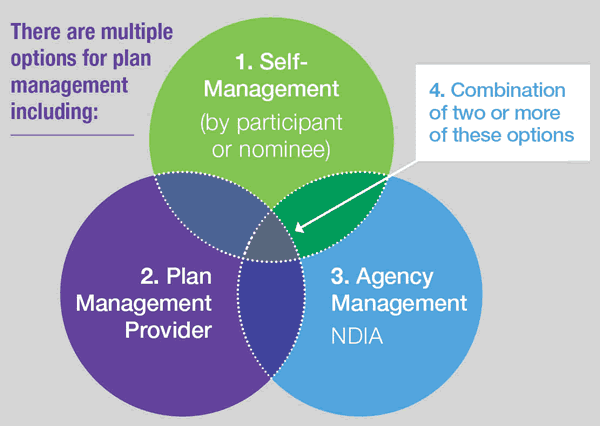 NDIS plan management options