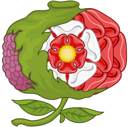 6_Rose_Pomegranate_motets