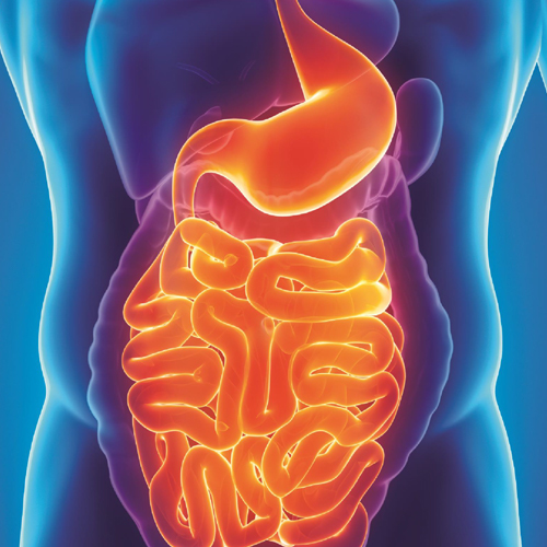 4 Signs You May Need a Colonoscopy - Birmingham Gastroenterology Associates