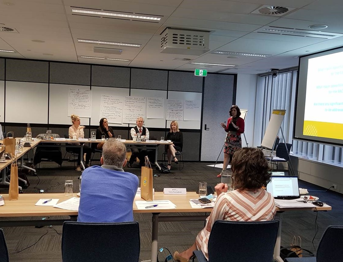 Consumer Advisory Group 2019 Workshop