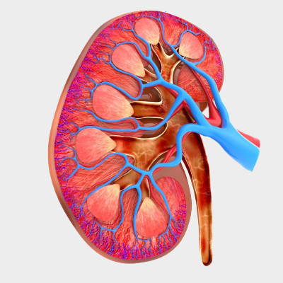 Ep70: Zeroing in on “the renal troponin”