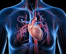 Internal medicine - GettyImages-1190788667 - news tile