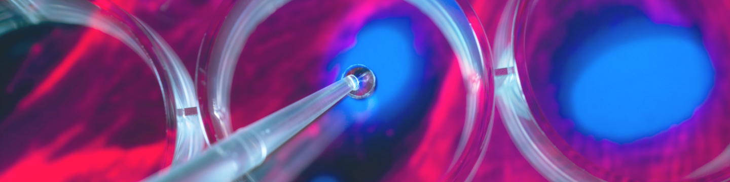 using pipette to drop solution into petri dish