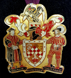 PCHD Medal PCHD Medal