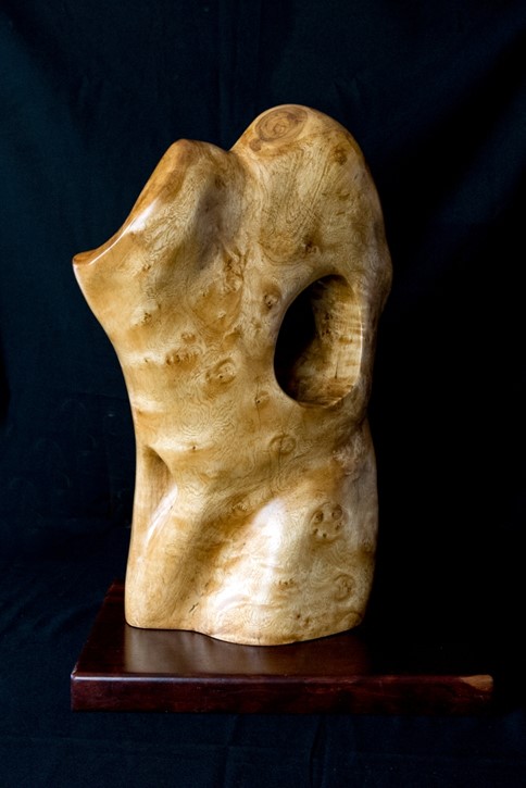 Simon Gandevia sculpture: “Torso”