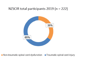 Traumatic and non-traumatic SCI