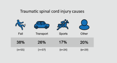 Causes of traumatic SCI