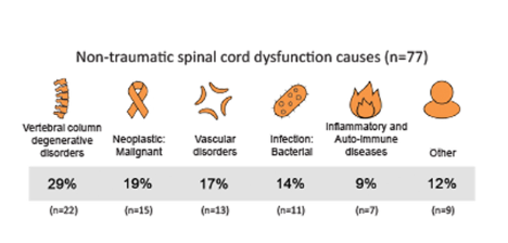 Causes of non-traumatic SCI
