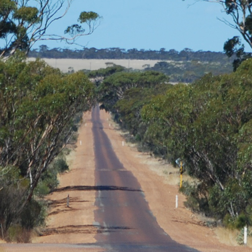 Chronic disease in rural and remote communities