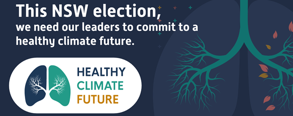 Share_square_HCF_election_NSW_TW Share_square_HCF_election_NSW_TW