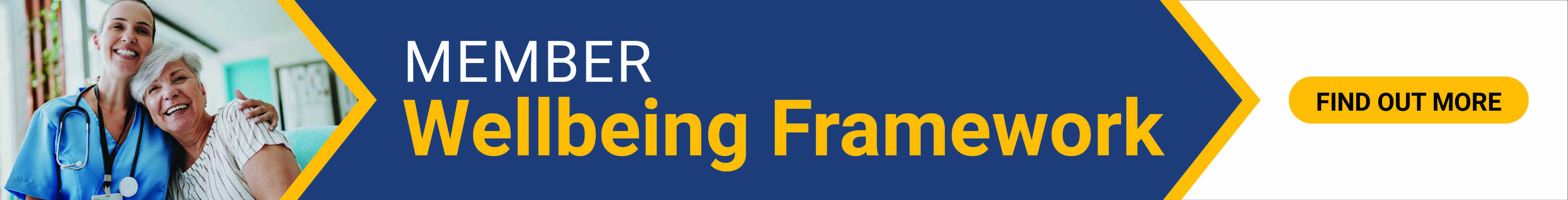 Wellbeing Framework 1000x128