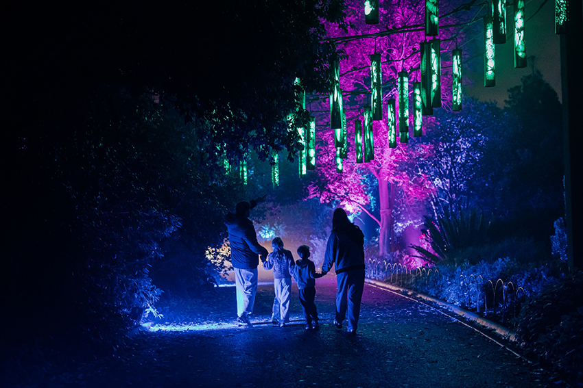 Lightscape