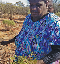 Debbie Watson, ANTAC Director and senior Ngangkaṟi Debbie Watson, ANTAC Director and senior Ngangkaṟi